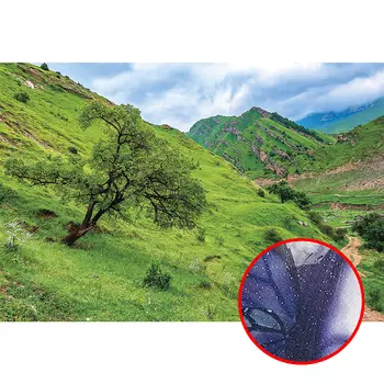 Фреска Ortograf