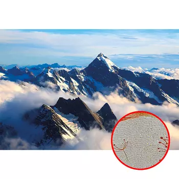 Фреска Ortograf