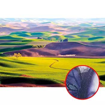 Фреска Ortograf