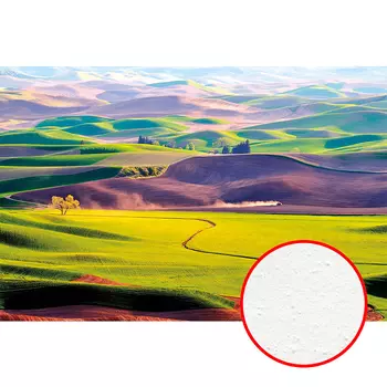 Фреска Ortograf