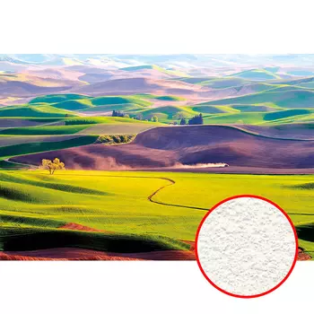 Фреска Ortograf