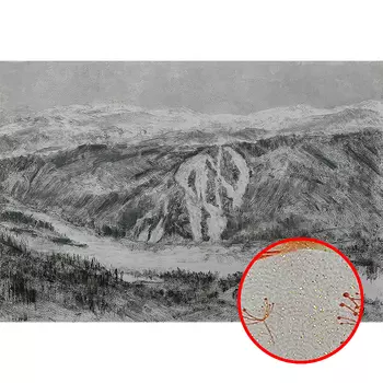 Фреска Ortograf