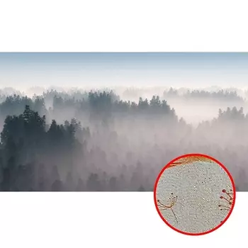 Фреска Ortograf