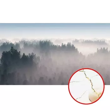 Фреска Ortograf