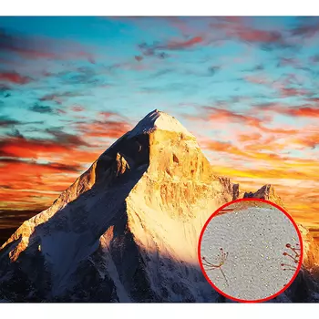 Фреска Ortograf