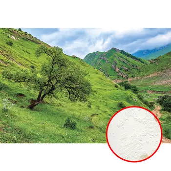 Фреска Ortograf