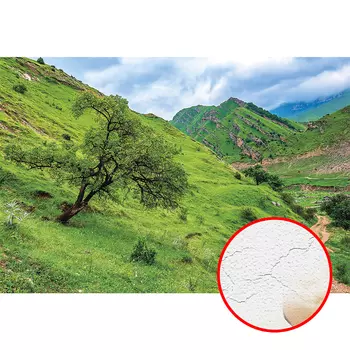 Фреска Ortograf