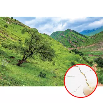 Фреска Ortograf