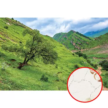 Фреска Ortograf