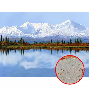 Фреска Ortograf