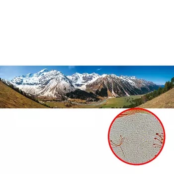 Фреска Ortograf