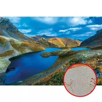 Фреска Ortograf