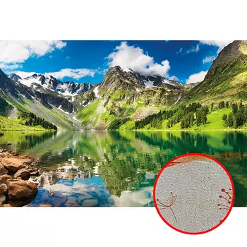 Фреска Ortograf