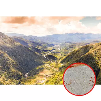 Фреска Ortograf