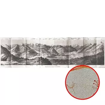 Фреска Ortograf