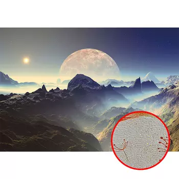 Фреска Ortograf