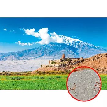 Фреска Ortograf