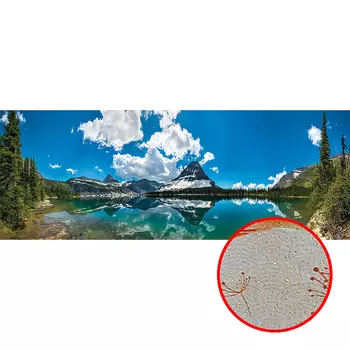 Фреска Ortograf