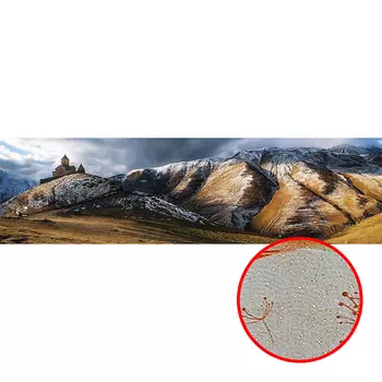 Фреска Ortograf