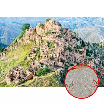 Фреска Ortograf