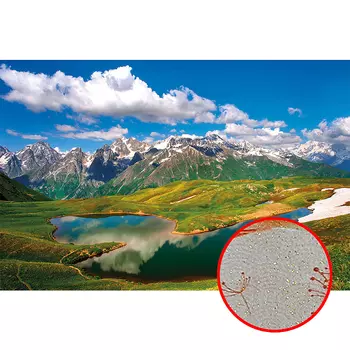 Фреска Ortograf