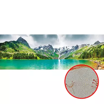 Фреска Ortograf