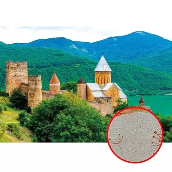 Фреска Ortograf