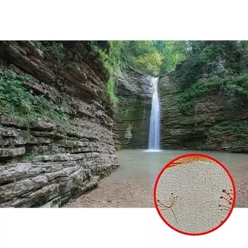 Фреска Ortograf