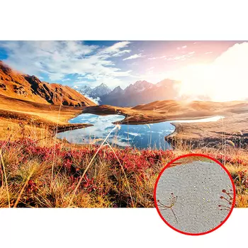 Фреска Ortograf