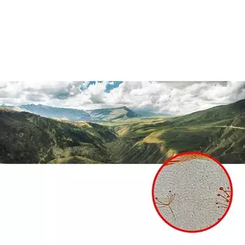 Фреска Ortograf