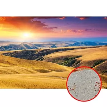 Фреска Ortograf