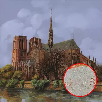 Фреска Ortograf