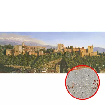 Фреска Ortograf