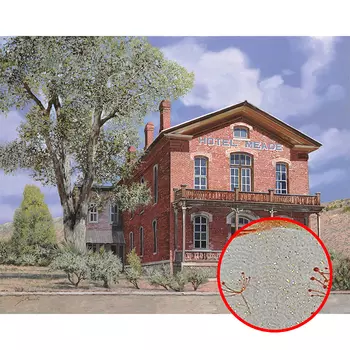 Фреска Ortograf