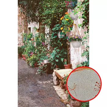 Фреска Ortograf