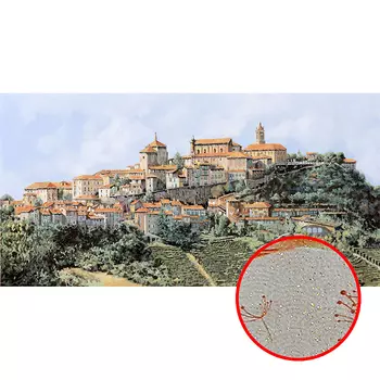 Фреска Ortograf