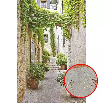 Фреска Ortograf