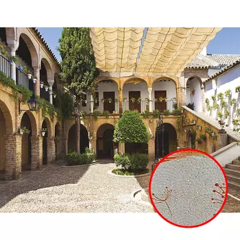 Фреска Ortograf