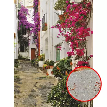 Фреска Ortograf