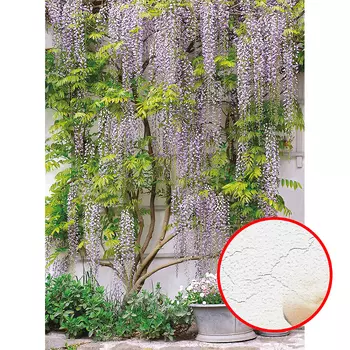 Фреска Ortograf