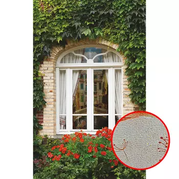 Фреска Ortograf