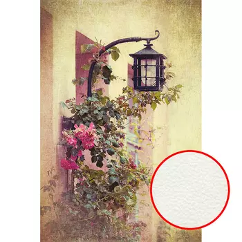 Фреска Ortograf