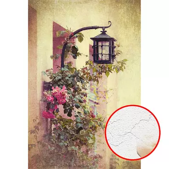 Фреска Ortograf