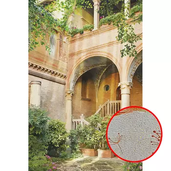 Фреска Ortograf