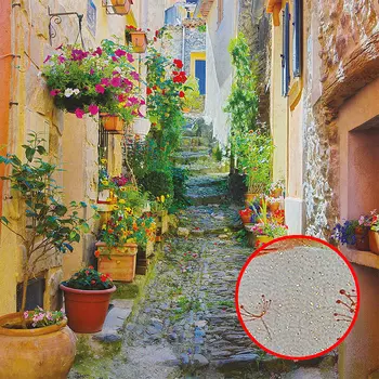 Фреска Ortograf