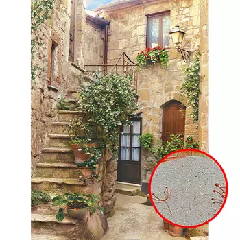 Фреска Ortograf