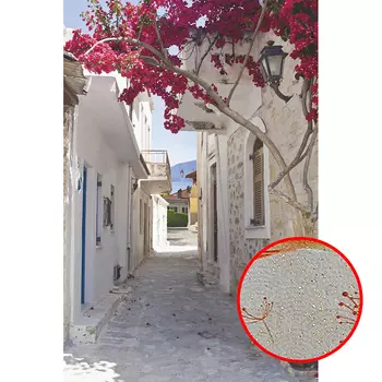 Фреска Ortograf