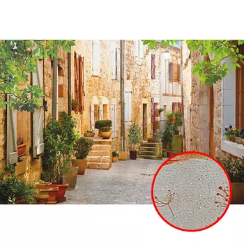 Фреска Ortograf