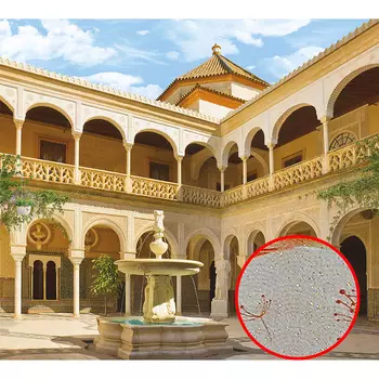 Фреска Ortograf