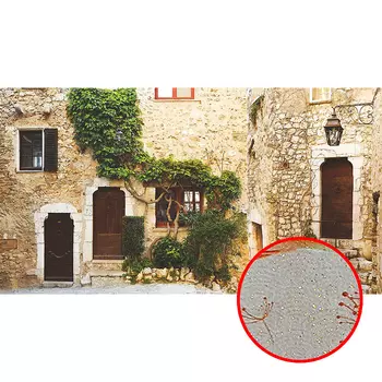 Фреска Ortograf